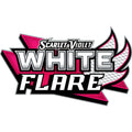 🔥2026 Christmas Gift🎄: Scarlet & Violet - White Flare Tech Sticker Collection Display (12)